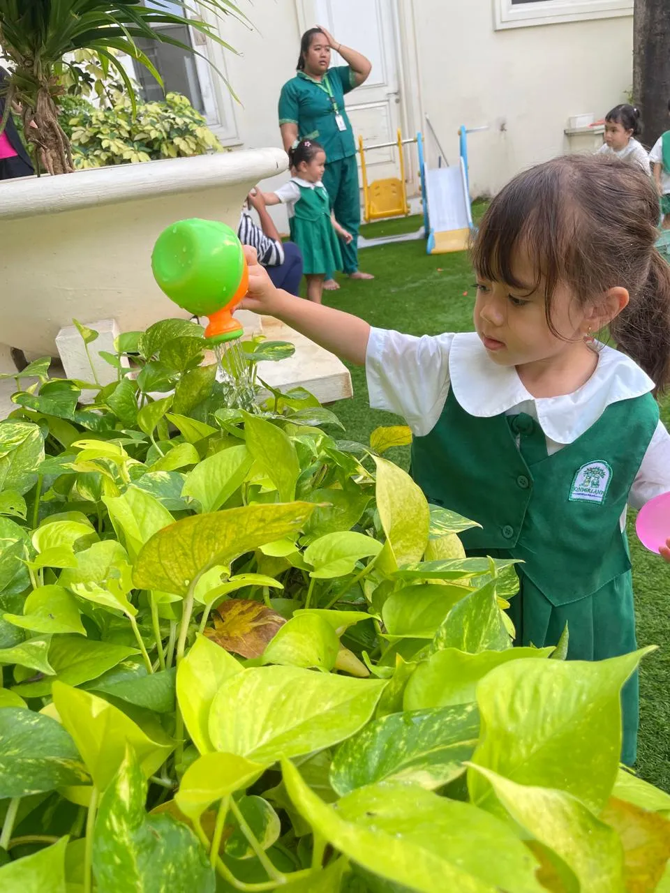 Watering the Plants