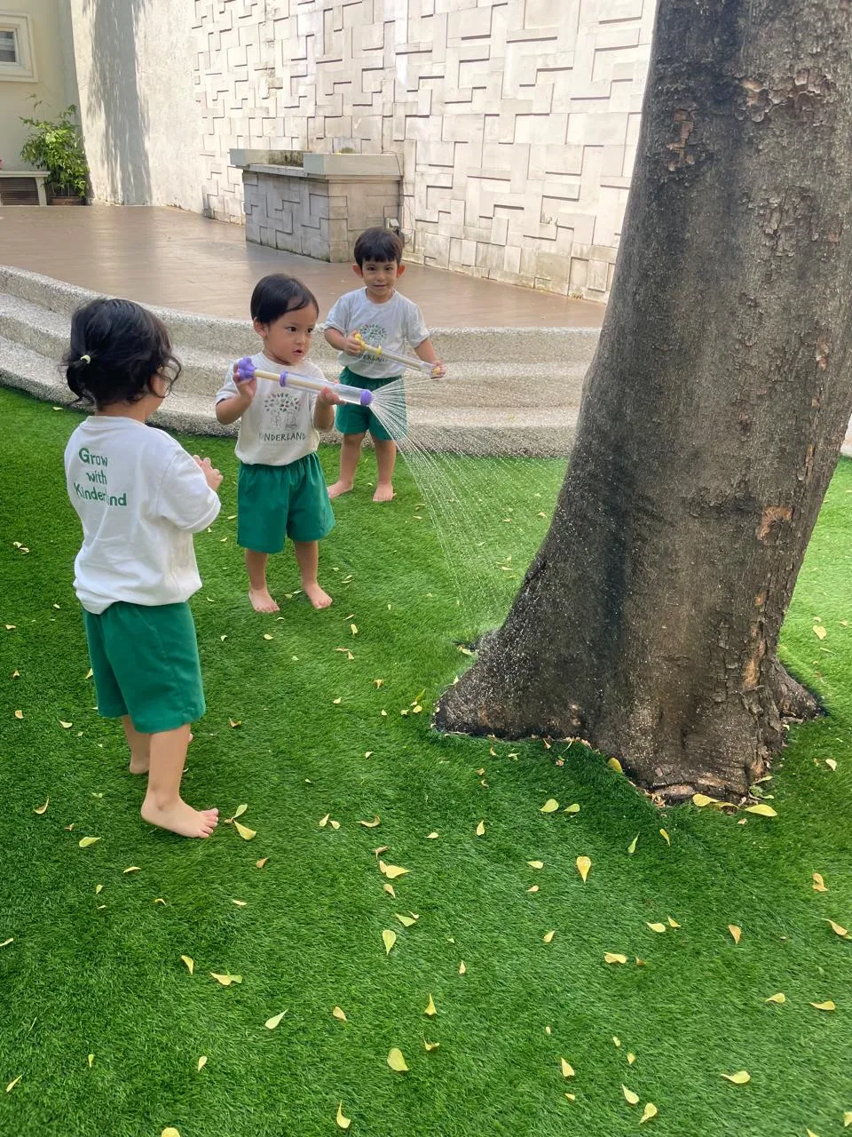 Watering the Tree Together